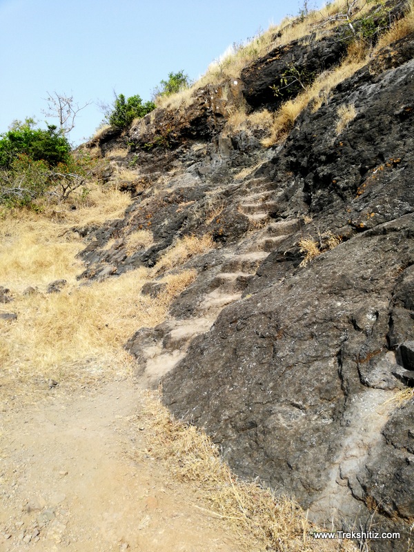 Carved steps Vilasgad (Mallikarjun)